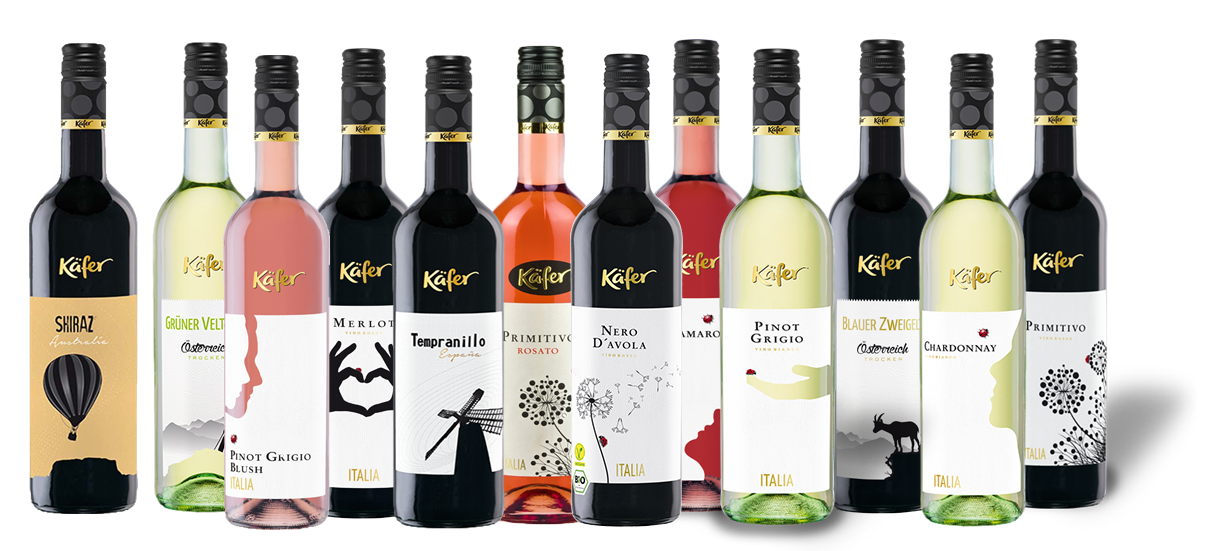 Käfer großes Probierpaket (12 x 0,75l)