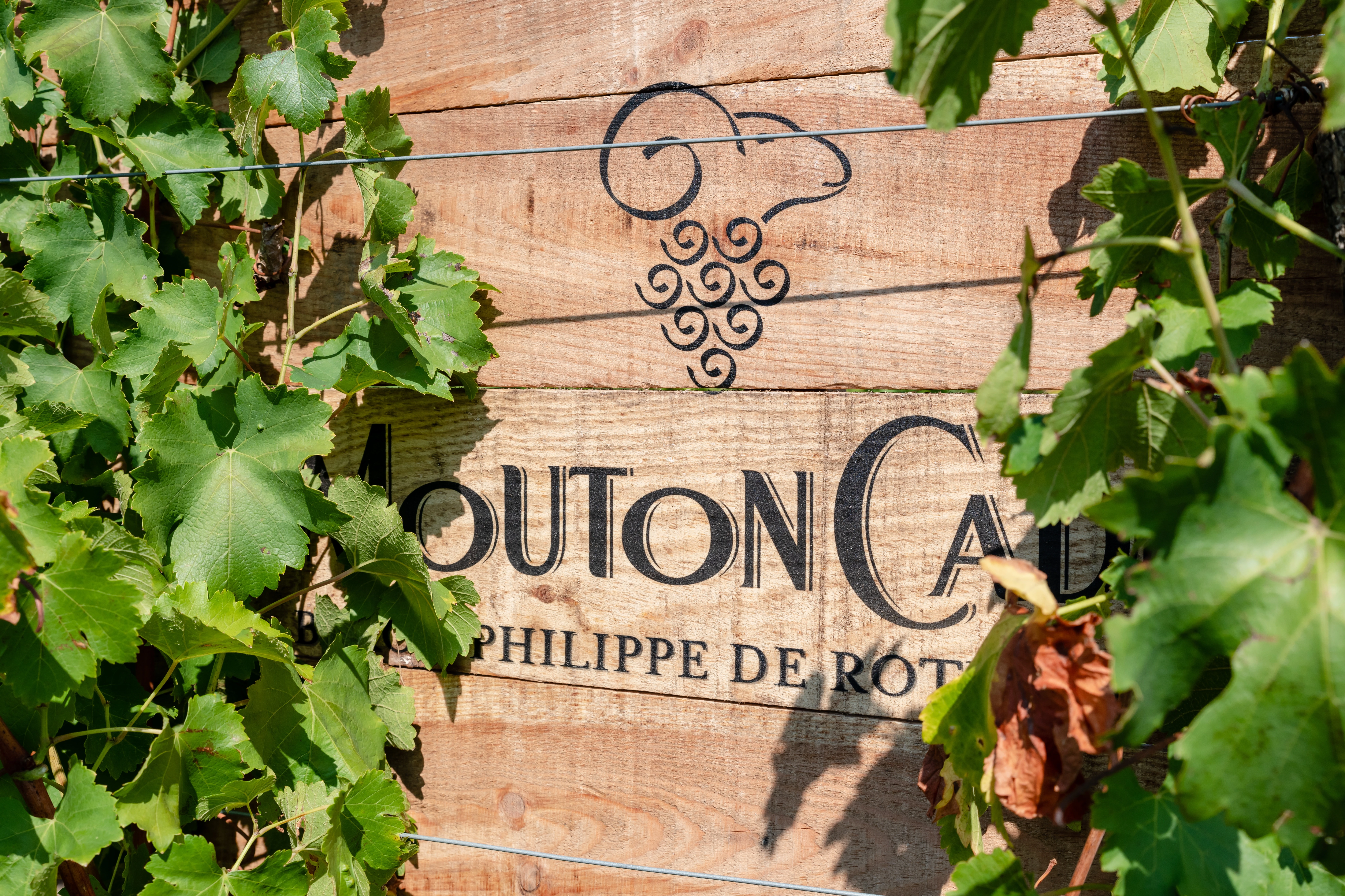 mouton-cadet-holzschild-efeu-laub-baron-philippe-de-rothschild