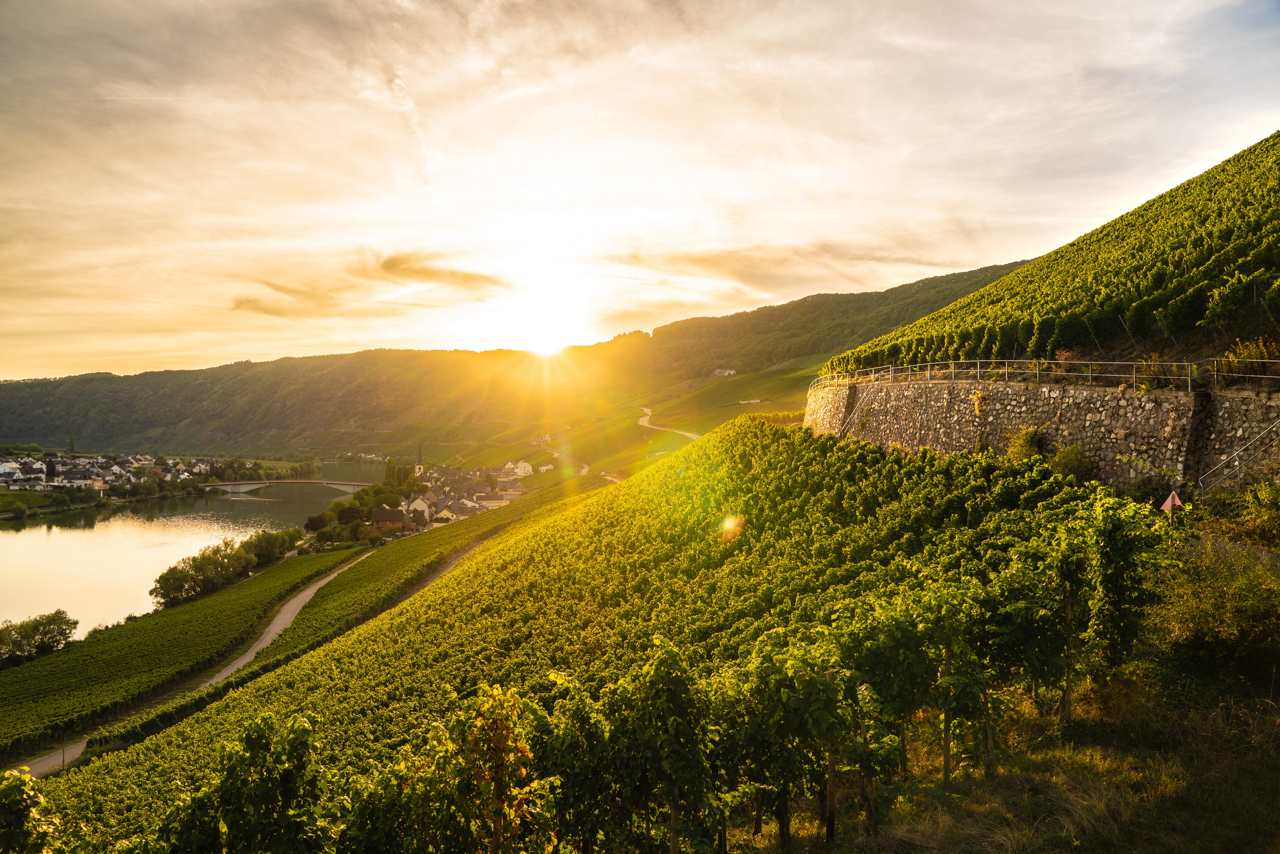 Mosel Weinberge in den Steillagen bei Sonnenuntergang