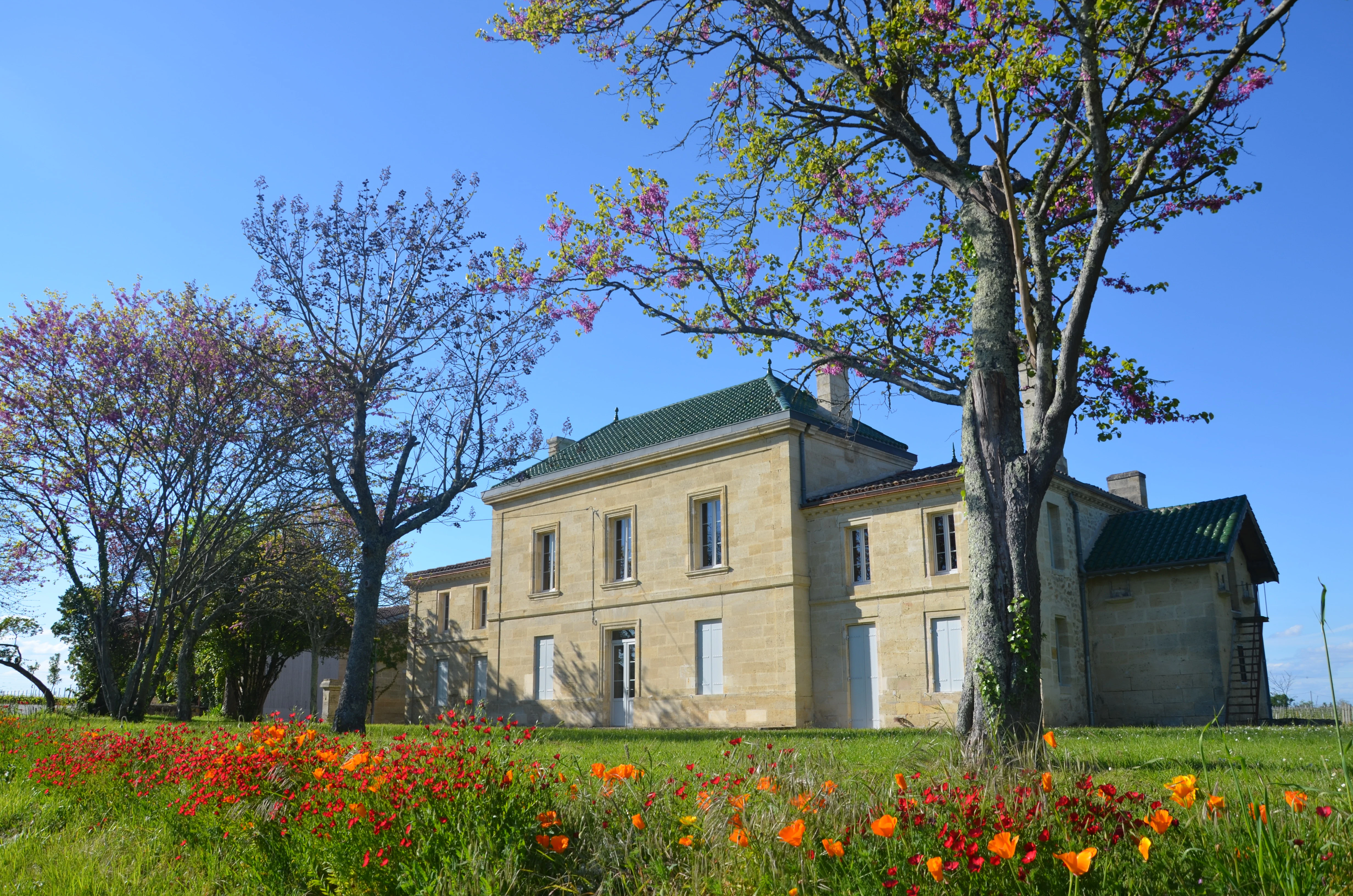 Gebäude von Château Boutisse mit strahlend blauem Himmel und grüner Wiese in Saint-Émilion