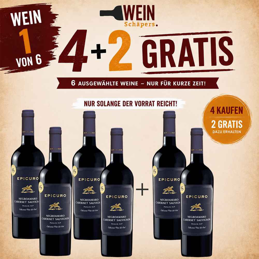 AKTIONSWEIN 1: Epicuro Negroamaro Cabernet Sauvignon, halbtrocken, 2022, sortenreines Weinpaket (6x0,75l)
