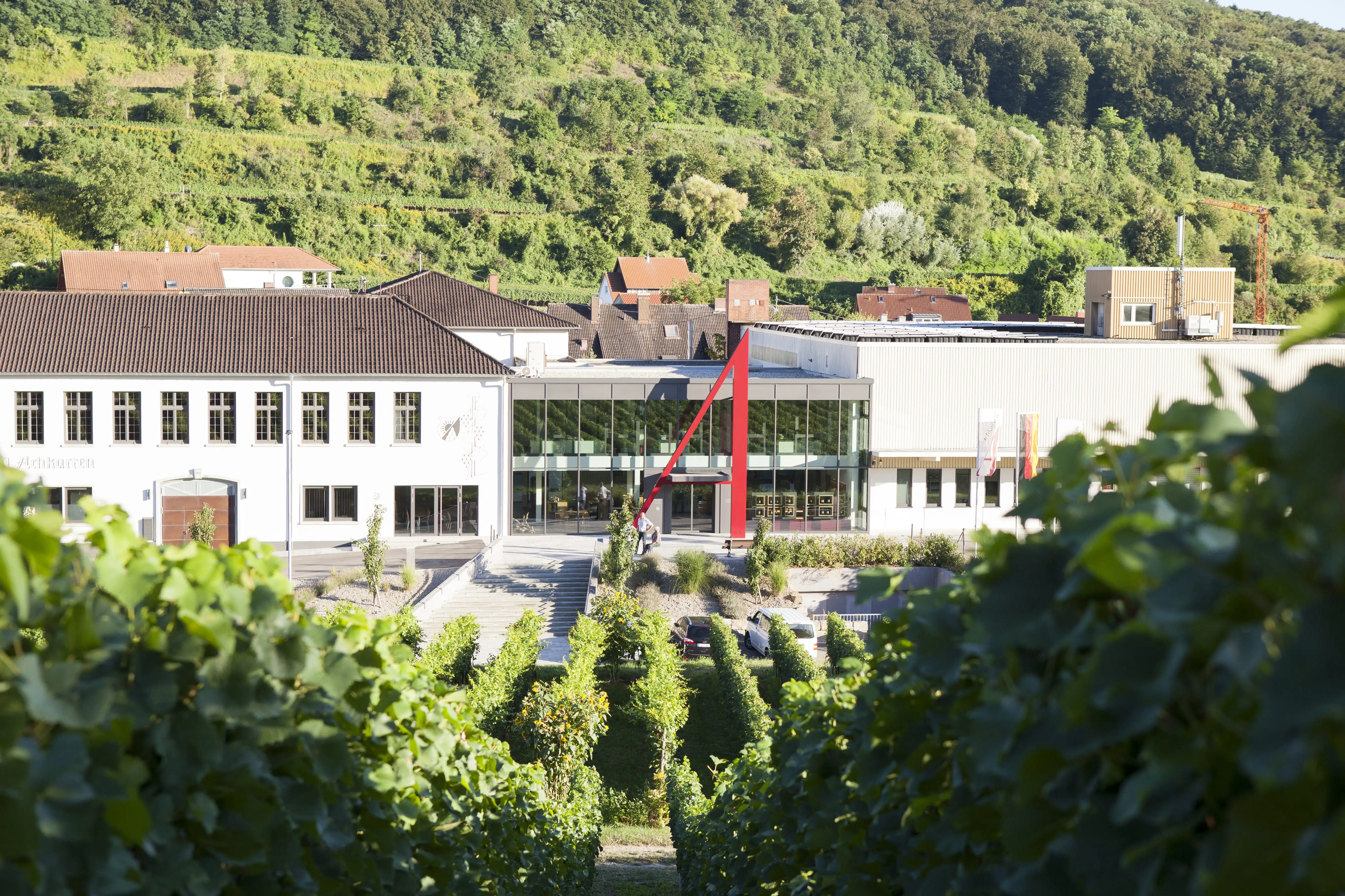Gebäude der Winzergenossenschaft Achkarren mit dem großen A über dem Eingang, Vogtsburg-Achkarren