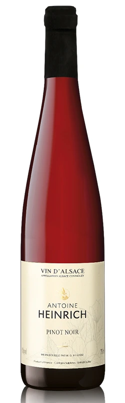 Flasche Antoine Heinrich Pinot Noir Rotwein vor weißem Hintergrund, freigestellt und klar präsentiert
