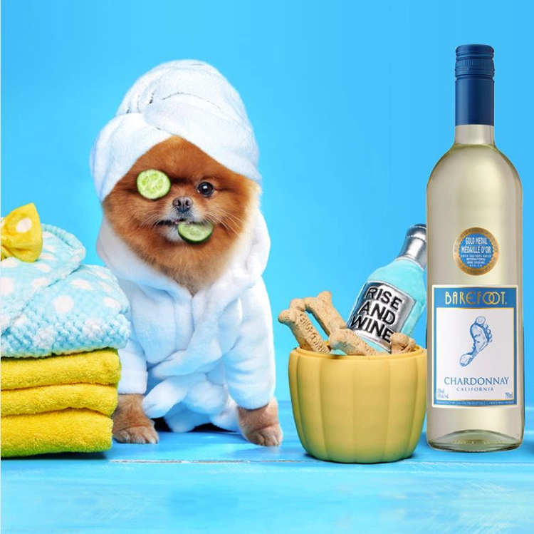 Barefoot Chardonnay Flasche neben einem kleinen Hund im Bademantel mit Gurkenscheibe auf dem Auge wie eine Augenklappe