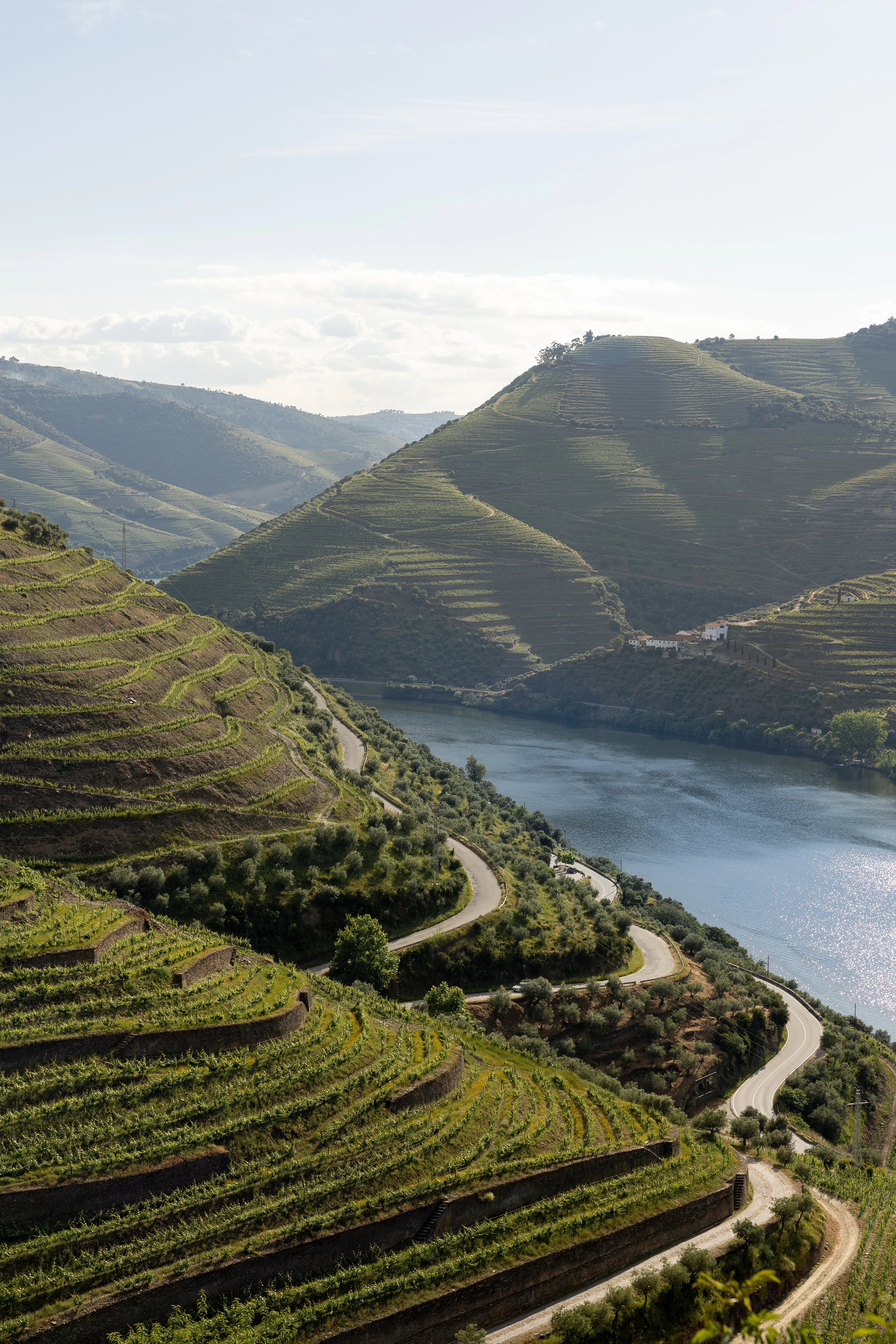 Quinta do Seixo von Sandeman im Douro-Tal mit Weinbergen, Douro-Fluss und sonnigem blauem Himmel in Portugal