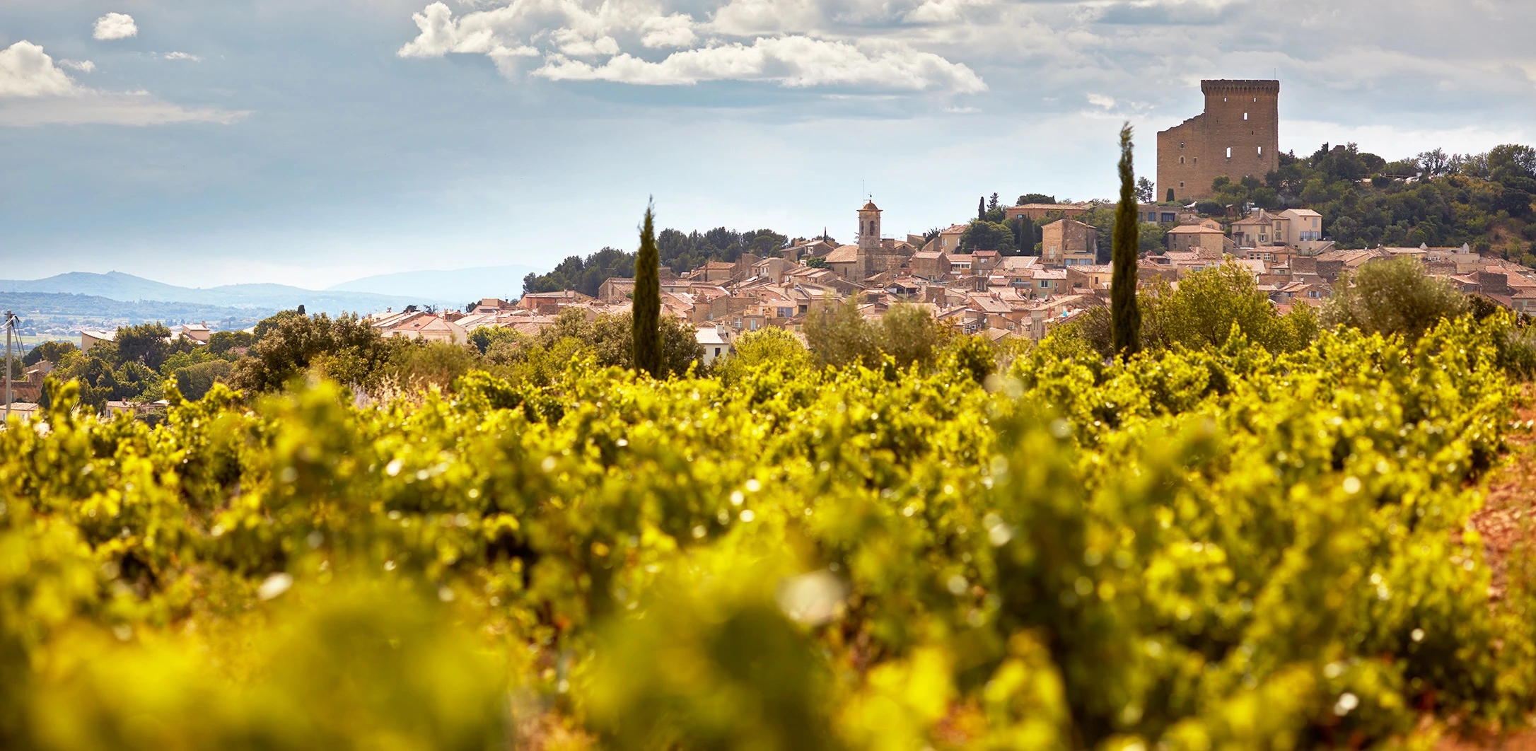 Blick über Courthézon und die Weinberge nahe Châteauneuf-du-Pape unter strahlend blauem Himmel