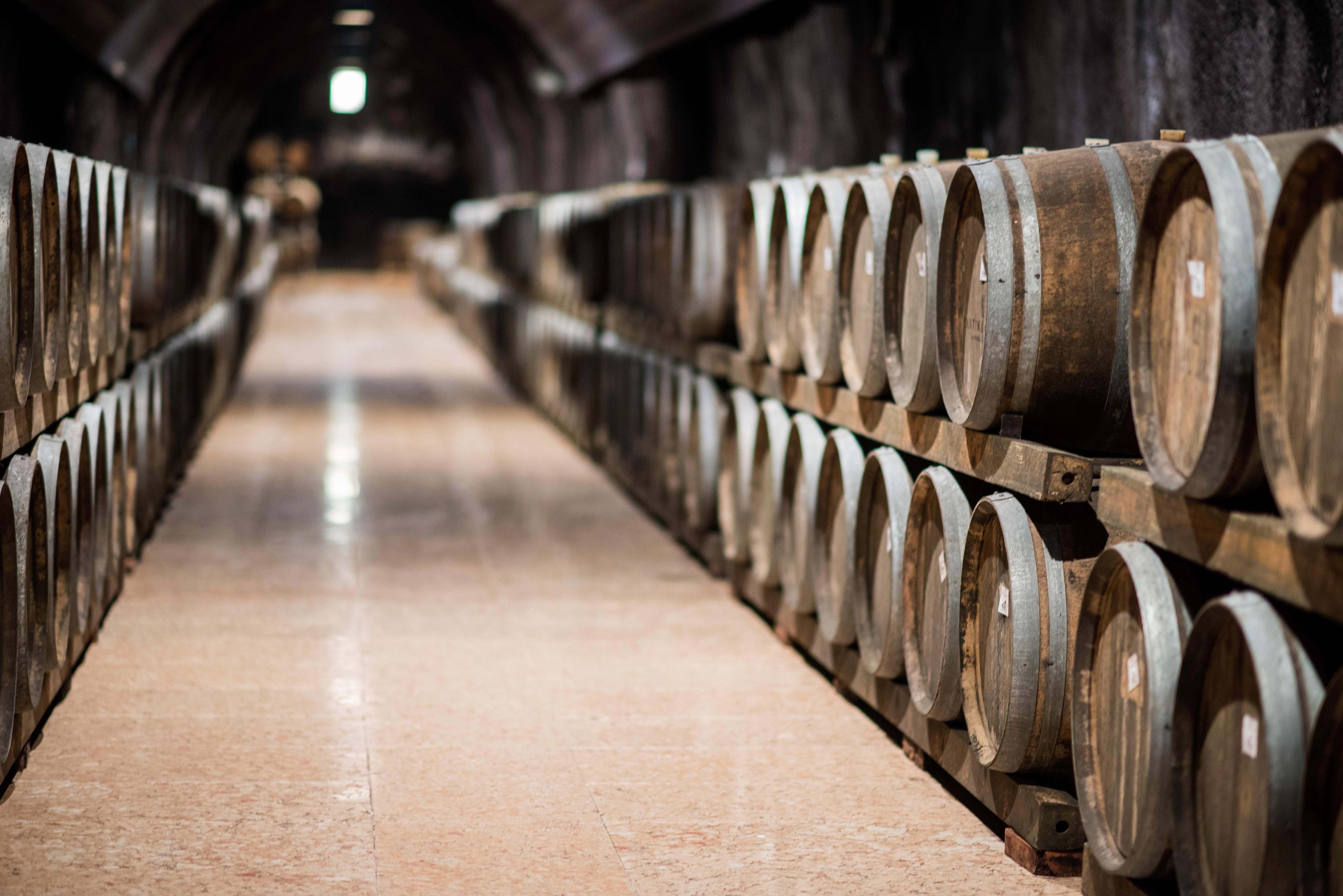 Weinfässer im Weinkeller der Cantina di Soave, ordentlich gelagert in Reihen aus Holzfässern zur Reifung der Weine