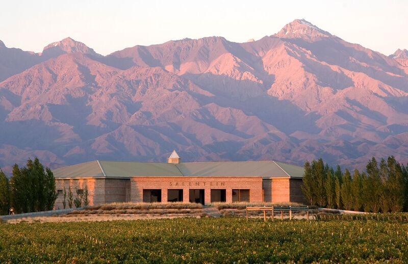 Bodegas Salentein im Sonnenuntergang vor den Anden mit Weinreben im Vordergrund im Valle de Uco