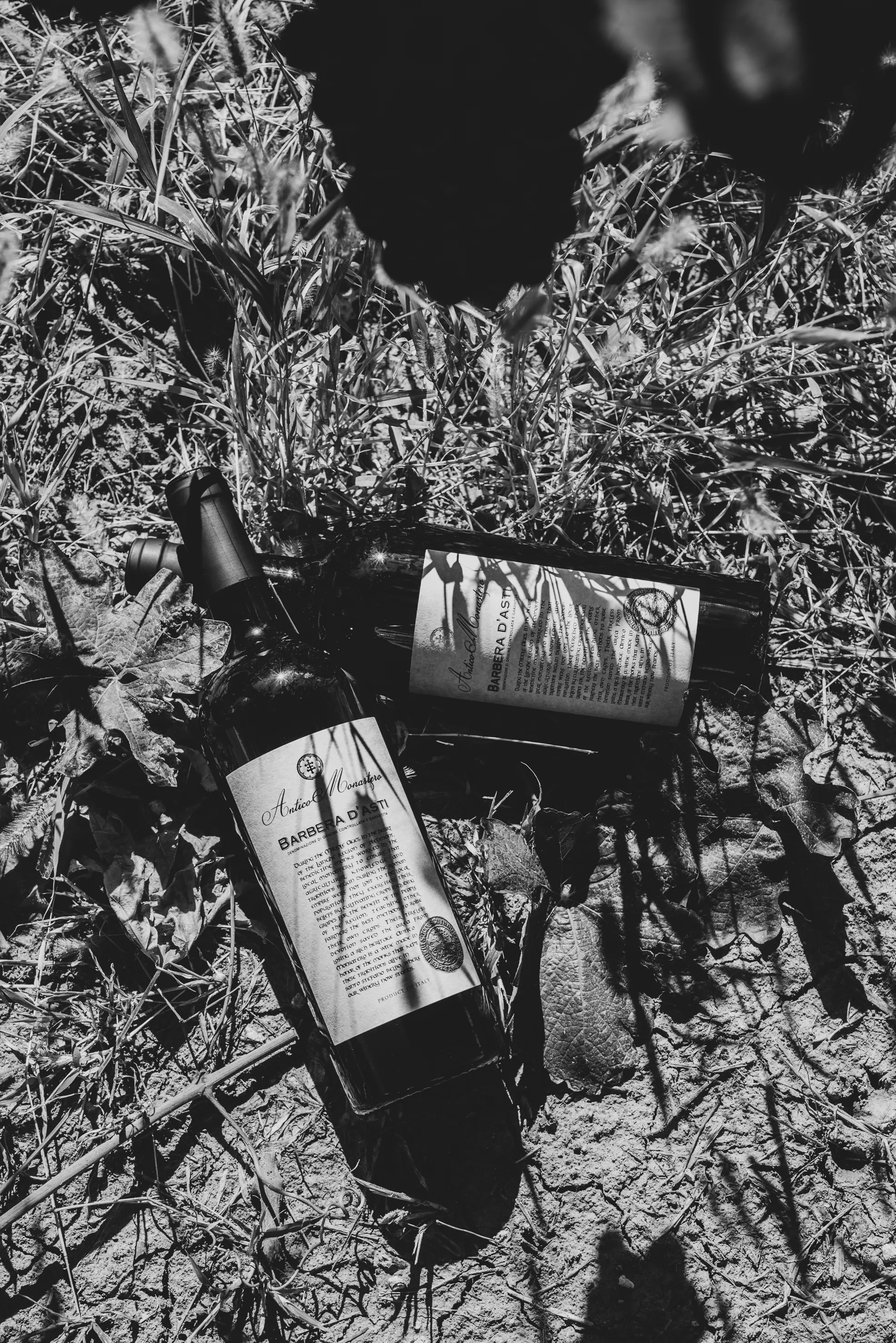 Zwei Flaschen Antico Monastero Wein liegen unter einem Baum auf dem Boden im Schatten, italienischer Wein mit traditioneller Klostertradition