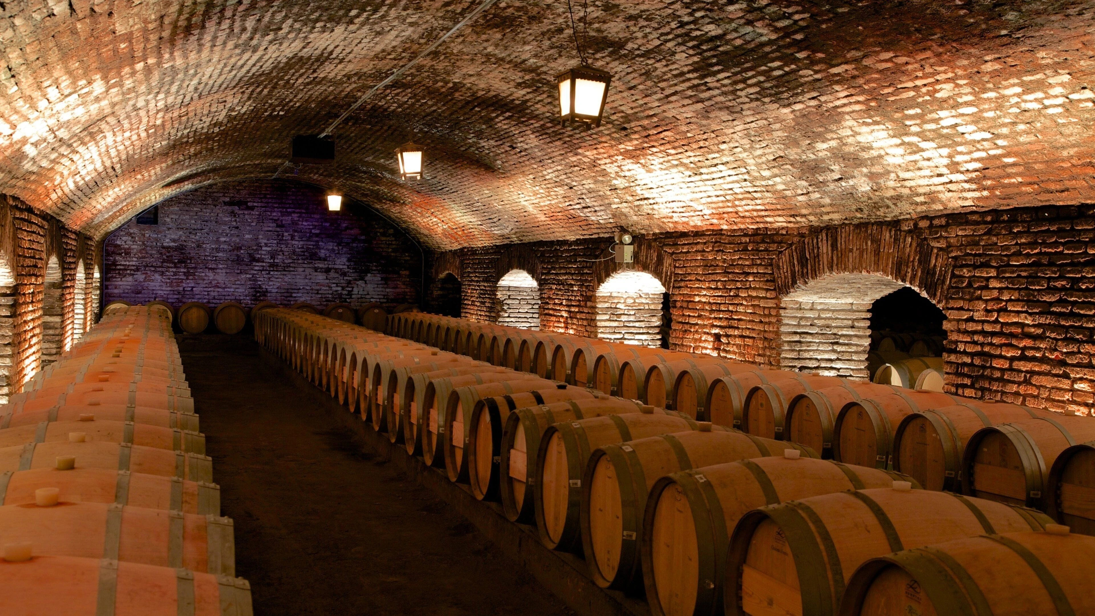 Edel beleuchtetes Kellergewölbe mit gelagerten Weinfässern von Casillero del Diablo