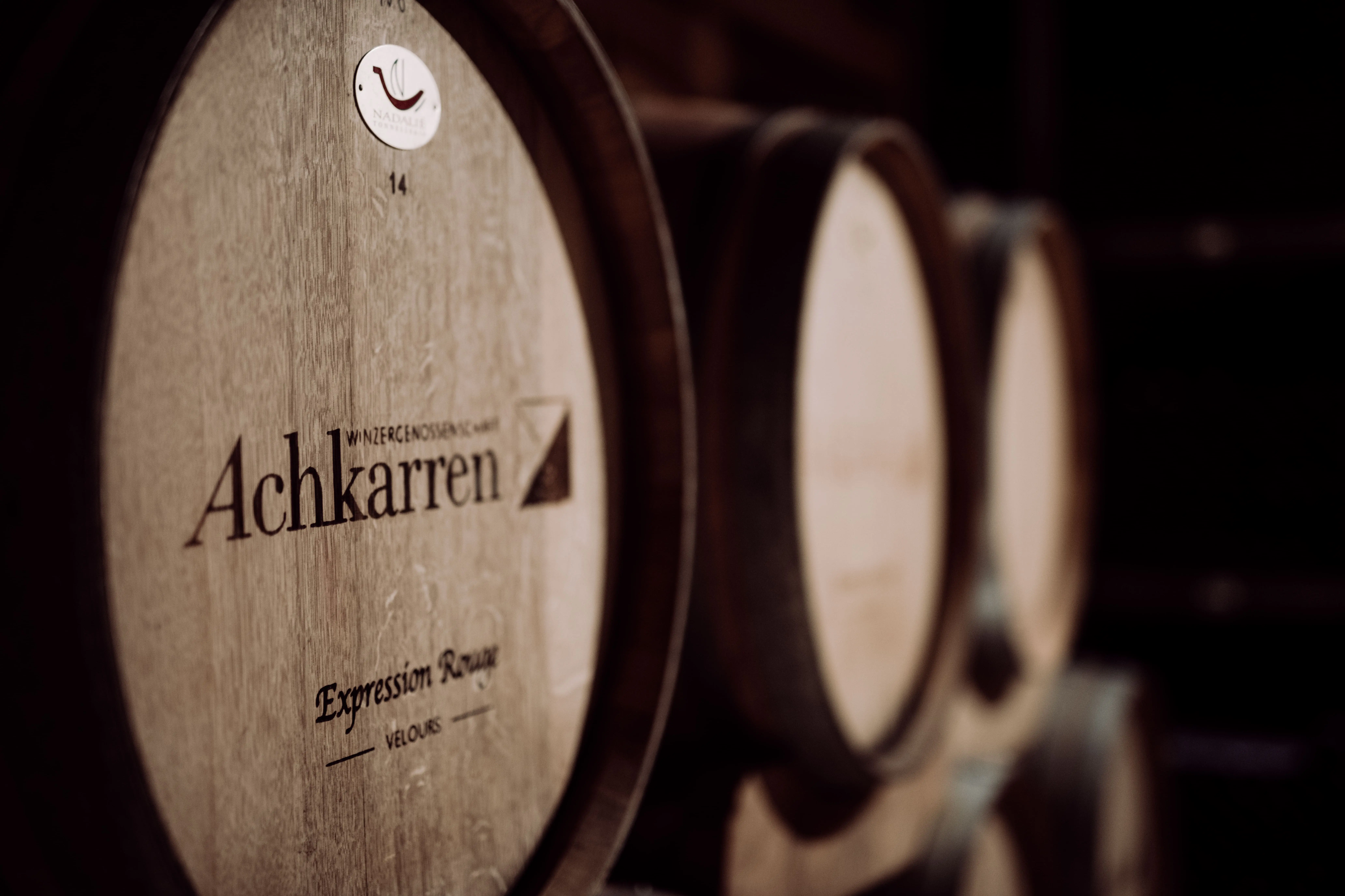 Weinfässer der Winzergenossenschaft Achkarren im Weinkeller, Kaiserstuhl