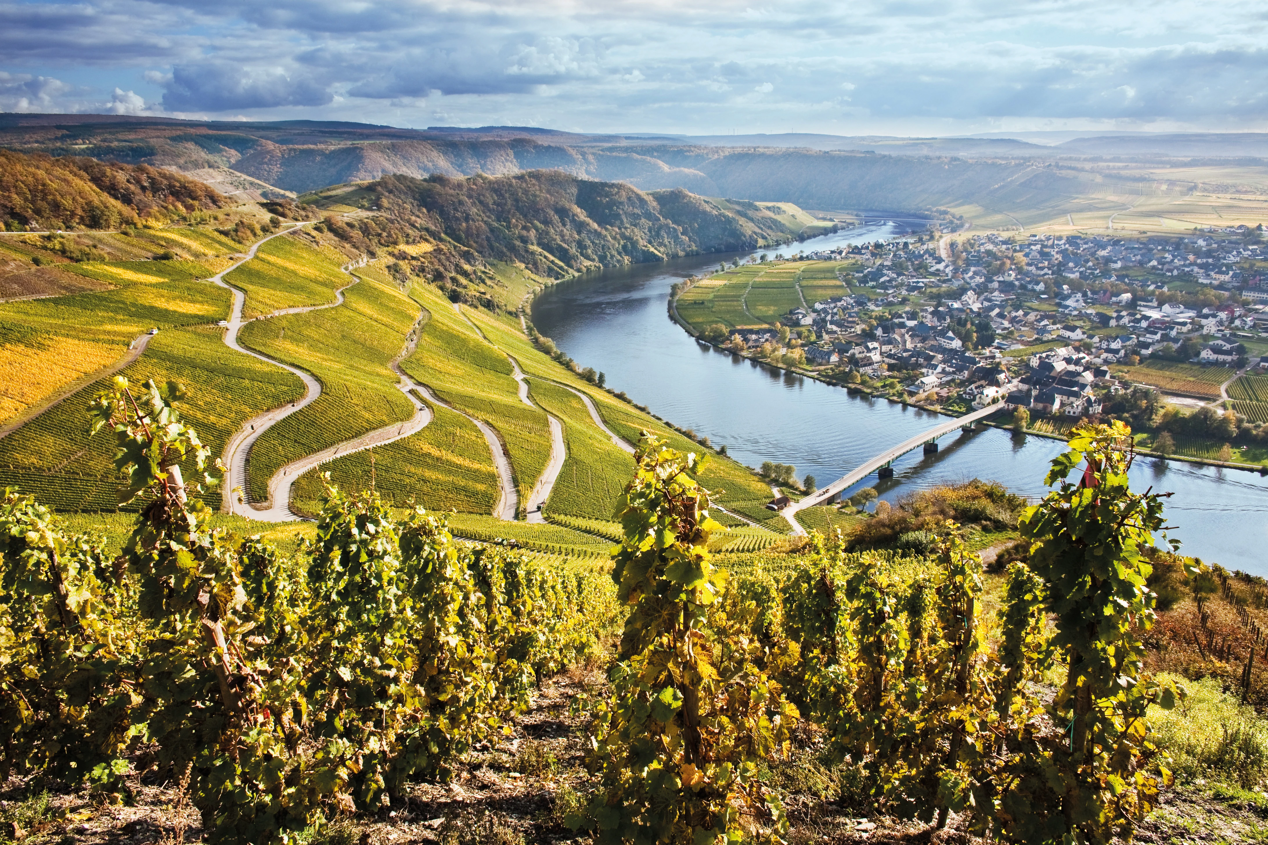 Piesport an der Mosel mit weitläufigen Weinbergen und steilen Rebhängen