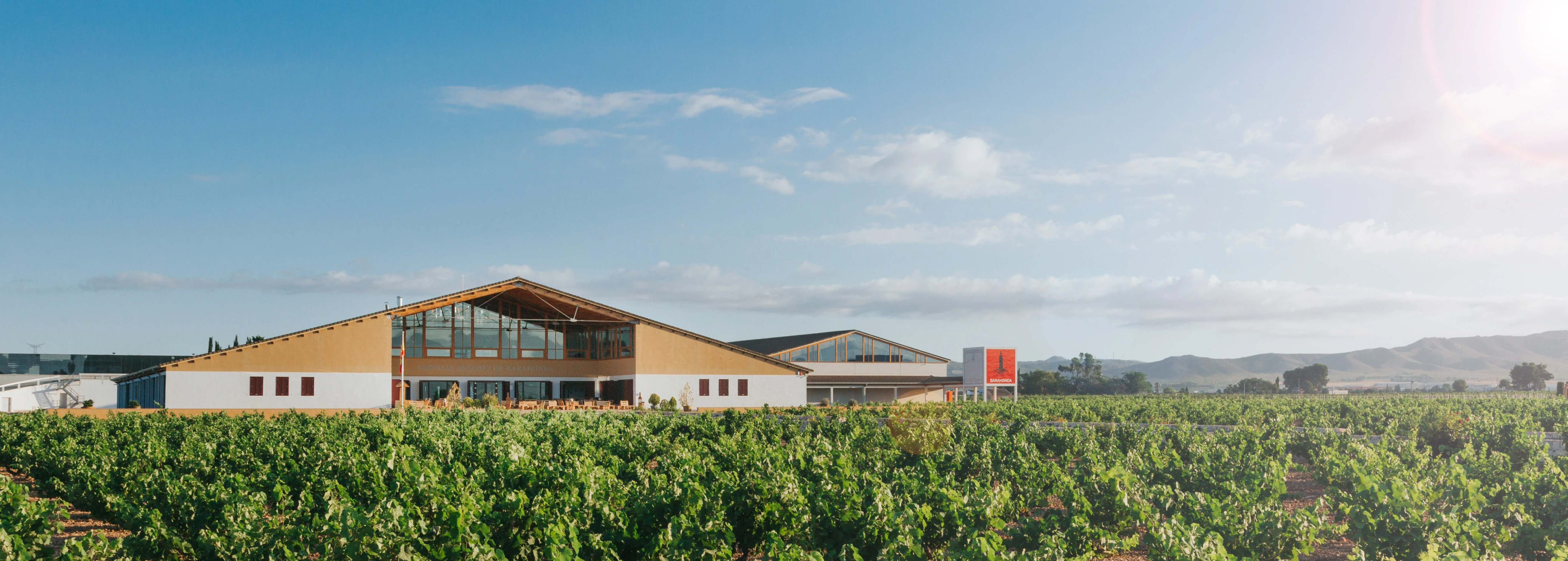Weingut Barahonda in Yecla mit Weinreben im Vordergrund, Bergen im Hintergrund und warmen Sonnenstrahlen über der Landschaft