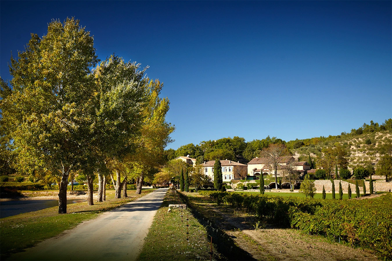 Panoramabild des Weinguts Miraval unter einem sonnigen blauen Himmel