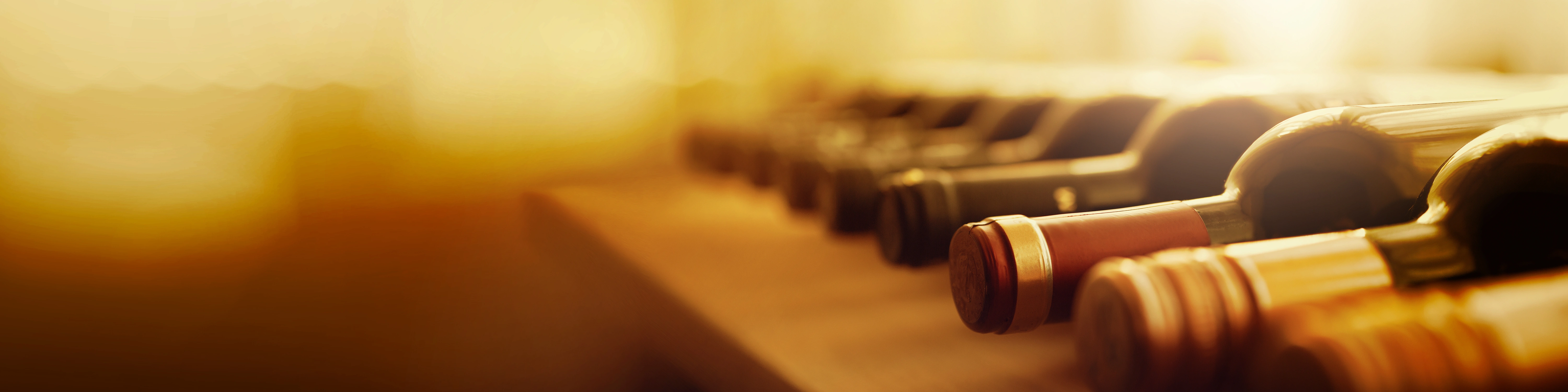 Mehrere liegende Weinflaschen in einer Reihe, ideal zum Wein genießen