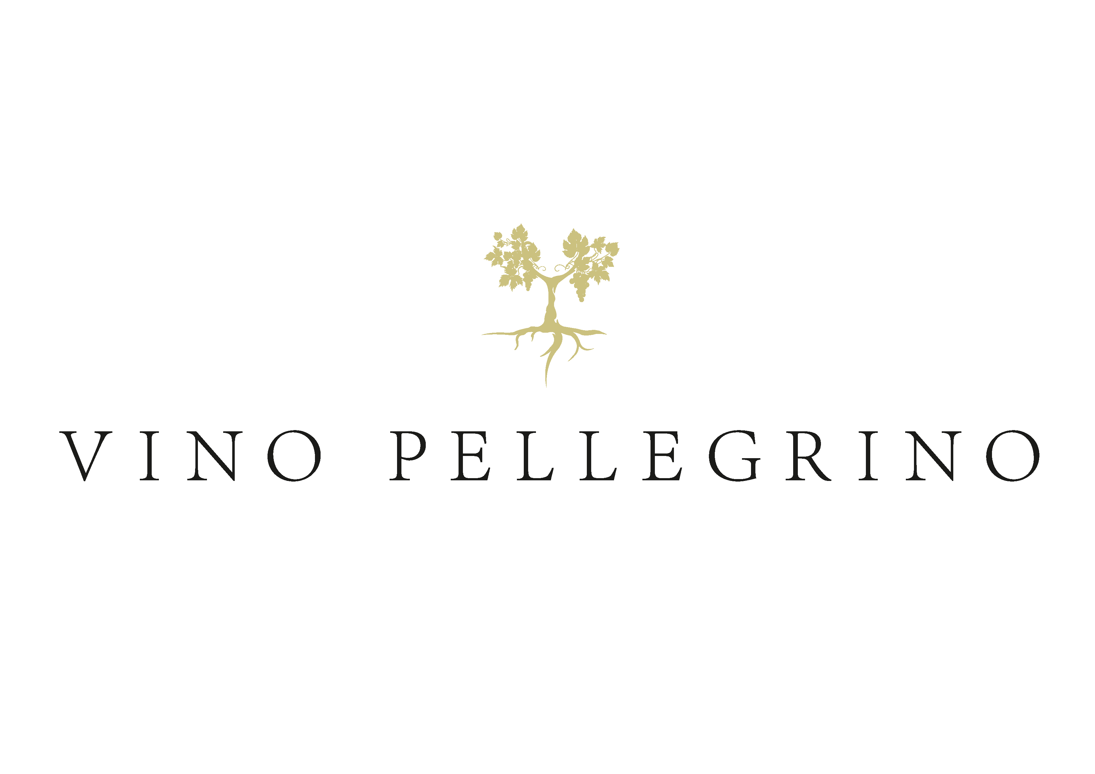 Vino Pellegrino